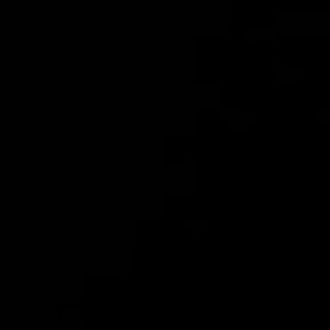 Meet your Posher, Anthny